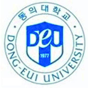 韩国东义大学
