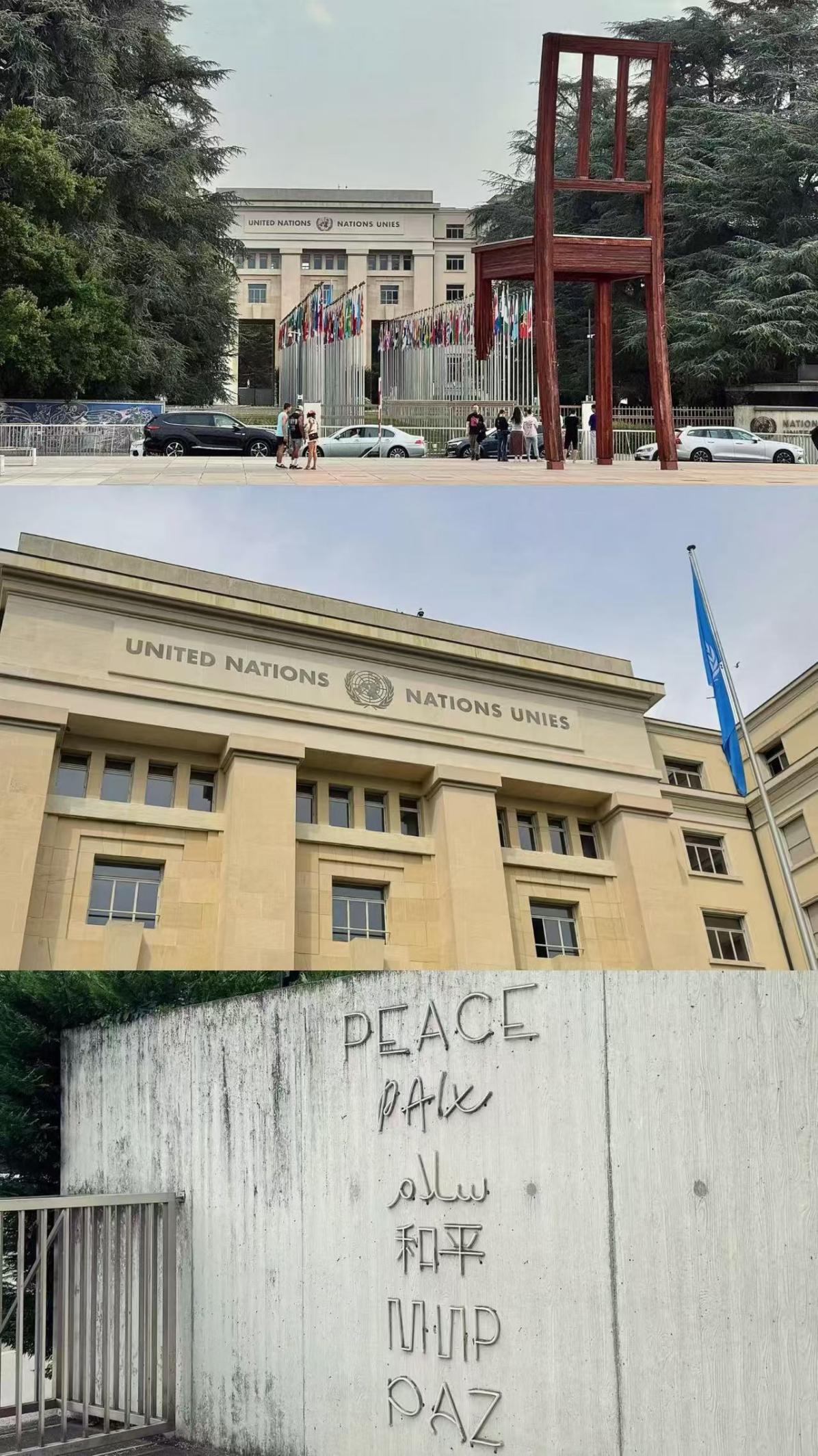 郑宇彤交流学习照片 5