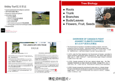 杨沐涵-19452040228