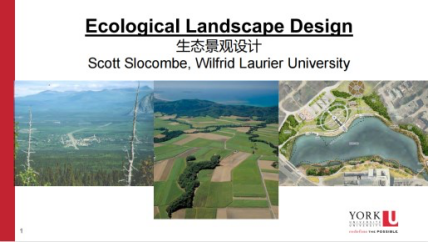 杨韵琪-19452040229