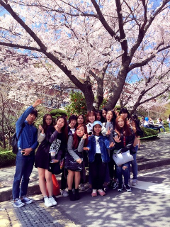 我校启动2017年学生海外学习、实习项目招生