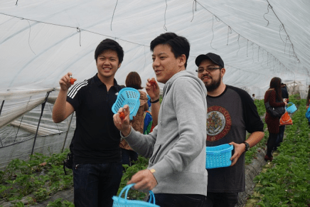 留学生文化体验系列之春游活动