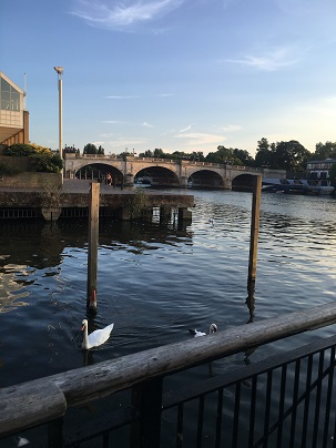 游学小结-胡童瑶