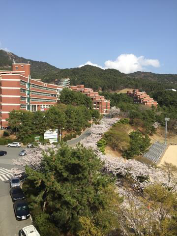 朝鲜语151班-周祎晨-学习小结