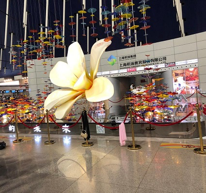 澳洲小结-夏辰韵