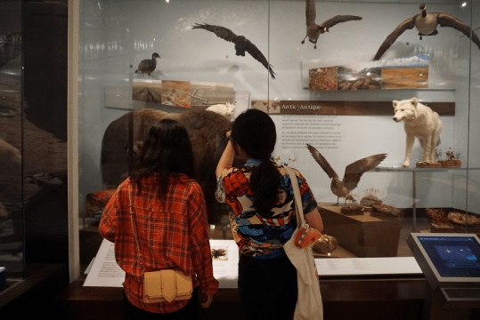 游学感想-程昱林