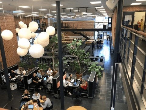 丹麦出访小结-顾润玉