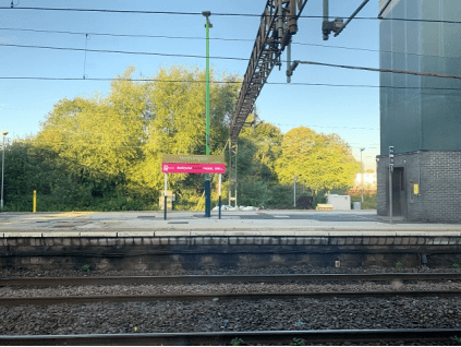 出访小结-乔艳婷