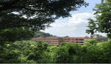 颜涌—赴大叶大学学期项目学习心得