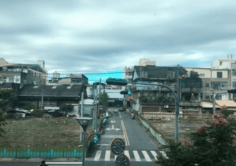 张敏—赴大叶大学学期项目学习心得