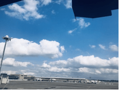 研修小结-张嘉妍