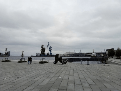 丹麦出访小结-武玥彤