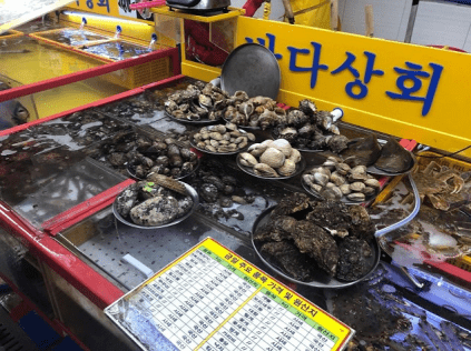 留学小结-朝鲜语172班-李姗姗