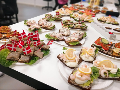 财金学院在丹麦