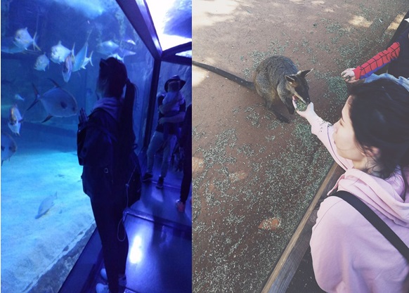 澳洲小结-交通路院区-吴斌芳