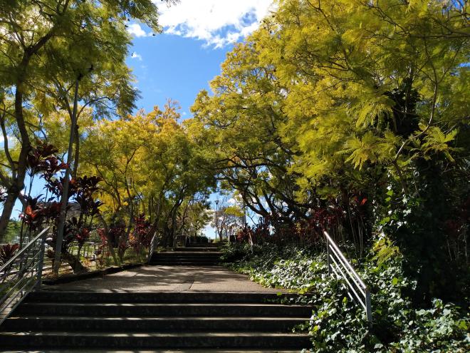 澳洲小结-交通路院区-张艺红