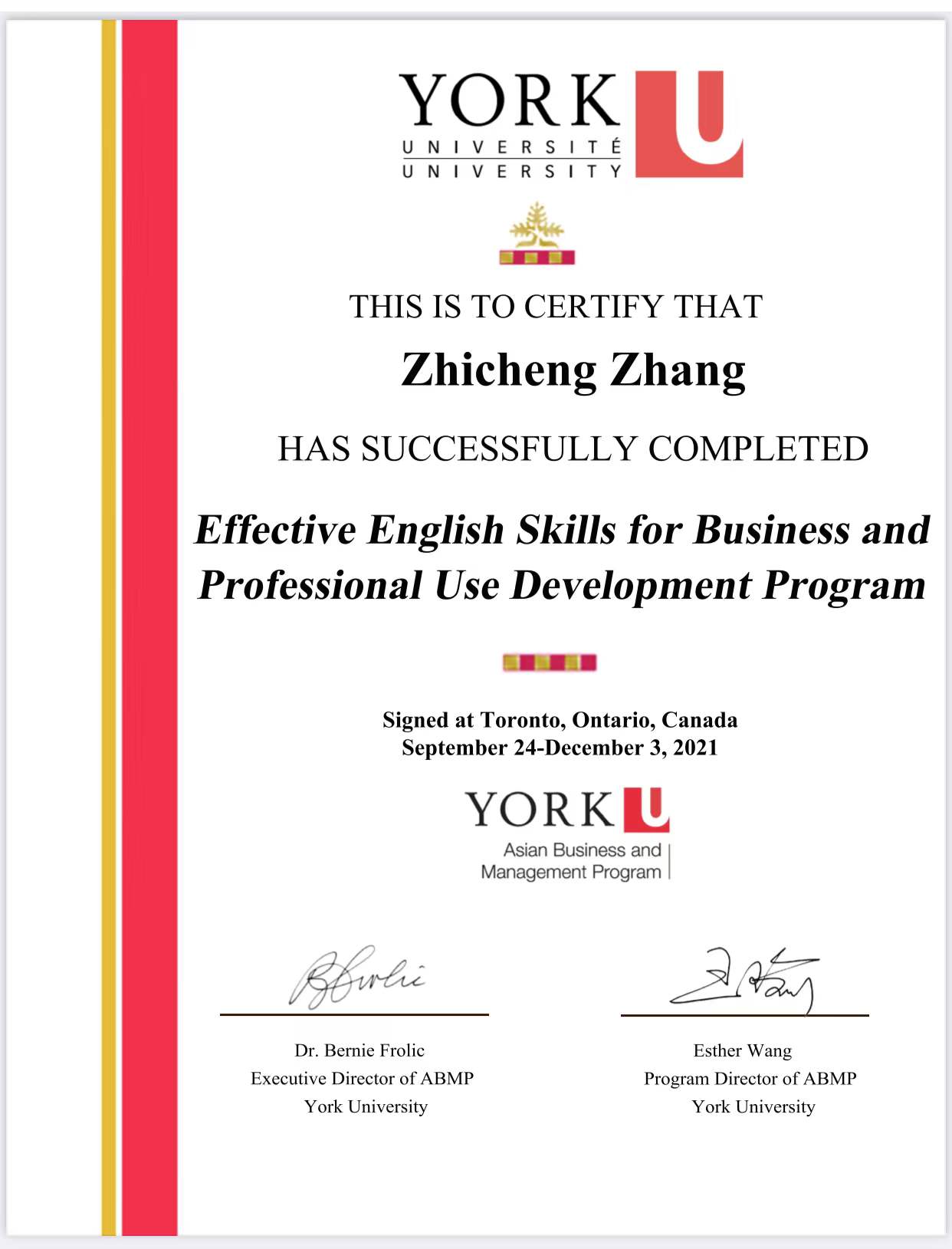 约克大学课程心得小结-张至成