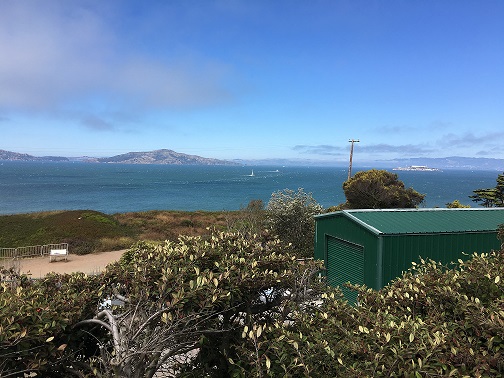 游学创新总结-刘曾