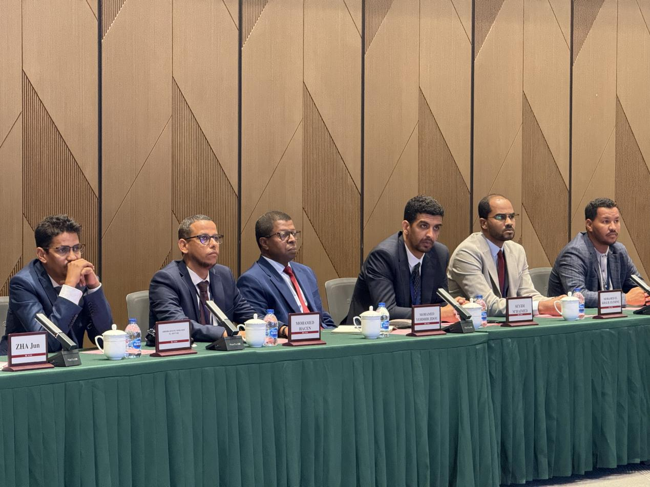 Chinese Wisdom Illuminates a New Chapter in Mauritania's Urban Planning