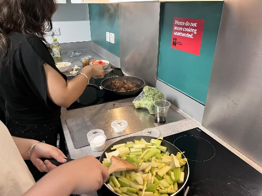 北安普顿大学学习小结——王浅汐